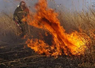 Пожароопасный период в разгаре: спасатели посоветовали, как не сжечь страну