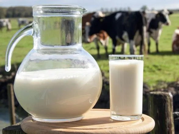 Виробництво молока в Україні скоротилося на 3,5%