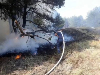 В Полтавской области уже более полусуток пытаются потушить лесной пожар, привлекли авиацию - ГСЧС