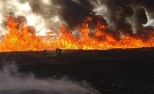На Харківщині пожежа спалила 40 га поля з кукурудзою