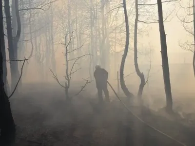 По всей Украине сохраняется чрезвычайная пожарная опасность
