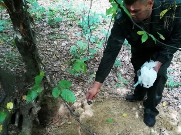 В охотничьих угодьях во Львовской области провели вакцинацию диких животных