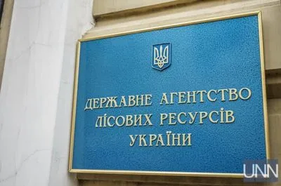 Уряд звільнив в.о. голови Держлісагентства Володимира Бондаря