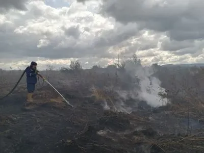 Пожар торфяников неподалеку от Львова тушат почти две недели