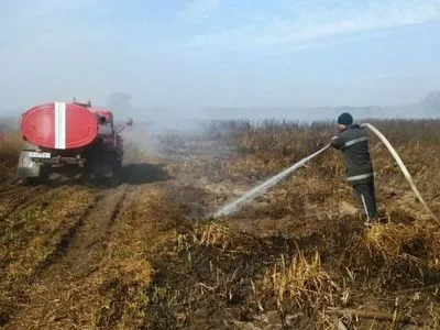 В Черниговской области второй день горят торфяники и сухая растительность