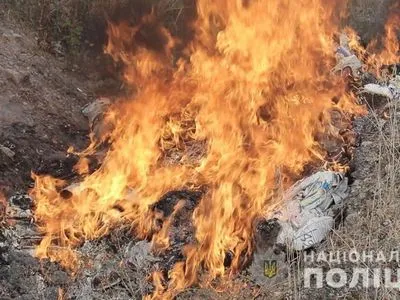 На Полтавщині спалили наркотиків на 1,5 млн грн
