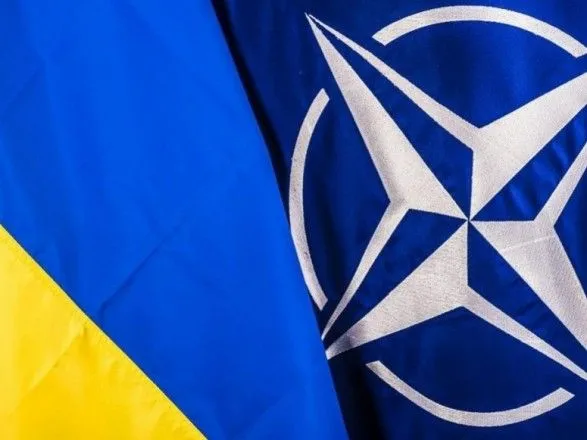 ПА НАТО на заседании в Лондоне посвятит панель Украине