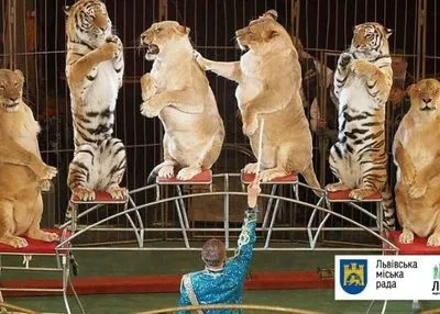 Львов призывает запретить эксплуатацию животных в цирках