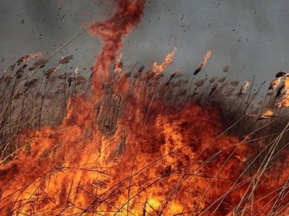 Чрезвычайная пожароопасность ожидается в ряде областей Украины