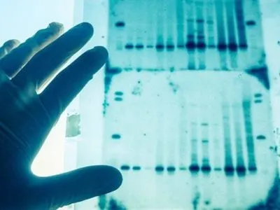 Неідентифіковані загиблі: у базі даних ДНК понад 1,6 тисяч зразків