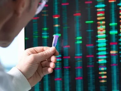 МВС назвало кількість ДНК-профілів неідентифікованих загиблих із зони ООС
