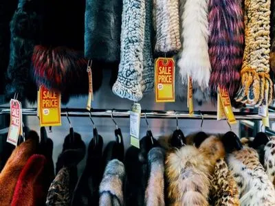 В Калифорнии запретили продажу меховой одежды с 2023 года