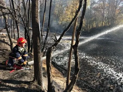 В Ивано-Франковской области ликвидировали пожар сухостоя и остатков нефтепродуктов
