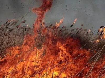 В Україні на кілька днів утримається надзвичайна пожежонебезпека