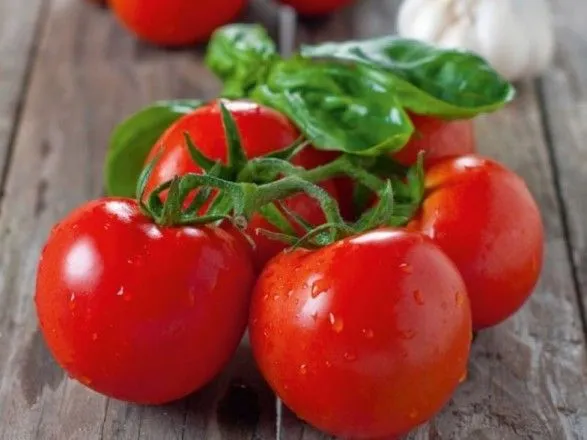 ukrayina-znachno-narostila-obsyag-importu-tomativ