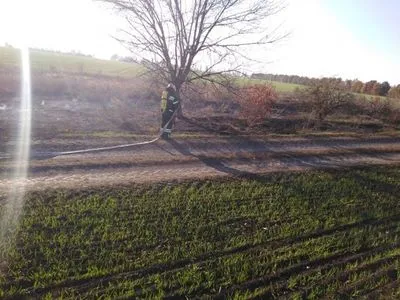 Двоє людей постраждали при гасінні поля на Кіровоградщині