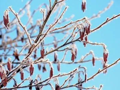 Метеоролог прогнозує заморозки вже на наступному тижні