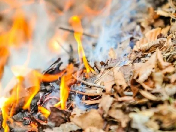 В правительстве напомнили украинцам о штрафах за сжигание сухих листьев