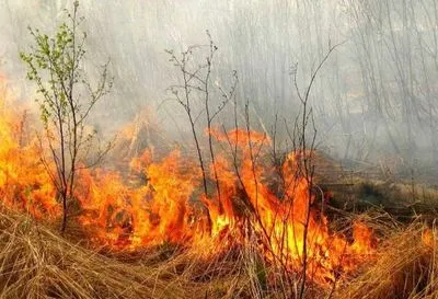 На Львівщині під час спалення сухої трави загинула жінка