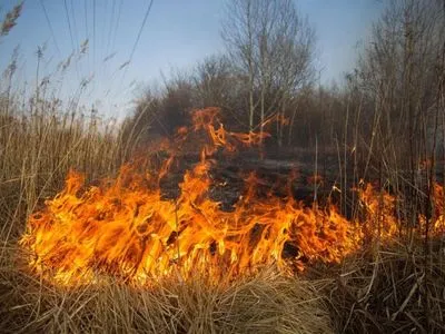 Большинство территории Украины накроет пожарная опасность