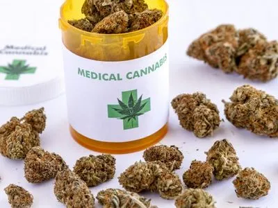 Нижняя палата парламента Франции одобрила закон о медицинской марихуане