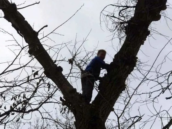 Під Дніпром довелося рятувати хлопчика, який заліз на дерево збирати гриби