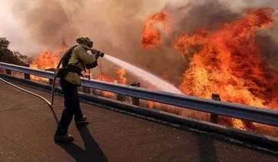На всей территории штата Калифорния ввели режим ЧС из-за лесных пожара