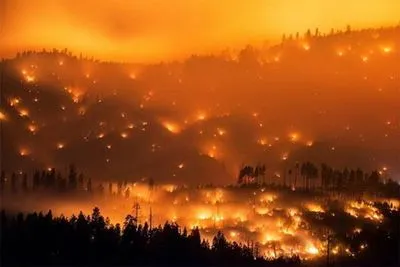 Более 180 тыс. человек в Калифорнии эвакуируют из-за лесных пожара