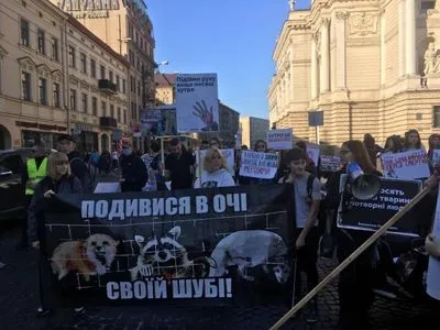 Во Львове состоялся антимеховой марш