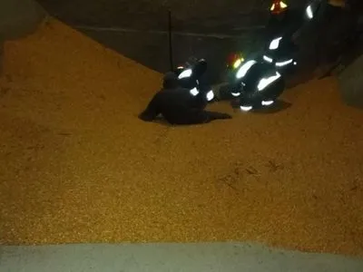 На Прикарпатье двух мужчин насмерть засыпало кукурузой