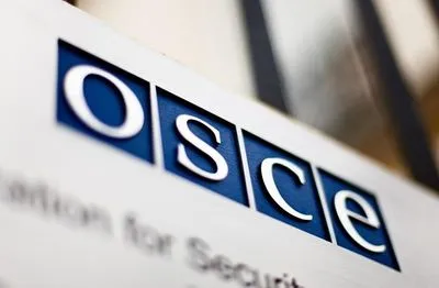 Наблюдатели ОБСЕ слышали выстрелы у Петровского в понедельник - отчет