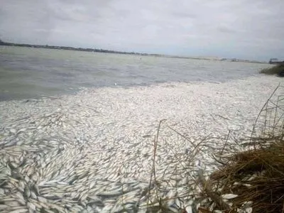 У Дніпрі на Херсонщині зафіксовано масовий мор риби