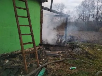 На Житомирщині відкрили провадження через смерть дитини у пожежі