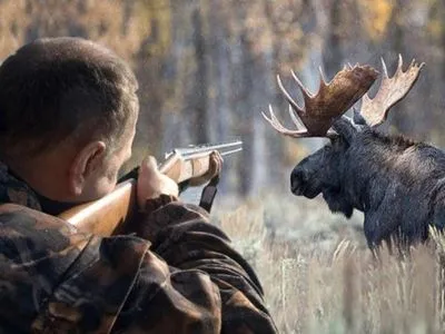 С начала года в Украине открыто 31 уголовное производство из-за браконьерства