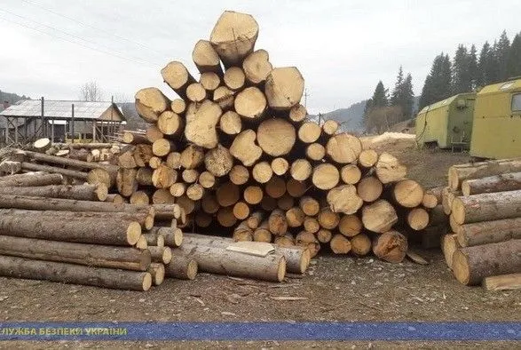 На Прикарпатье и Буковине предотвратили экспорт незаконно срубленного леса на миллионы гривен
