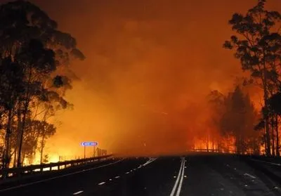 Лісові пожежі в Австралії: двоє людей загинули, десятки травмовані