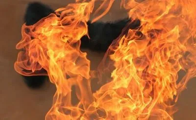В Донецкой области во время пожара в жилом доме погибли люди
