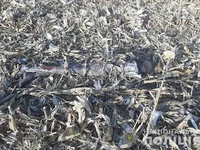 В Тернопольской области в поле нашли мумифицированное тело мужчины