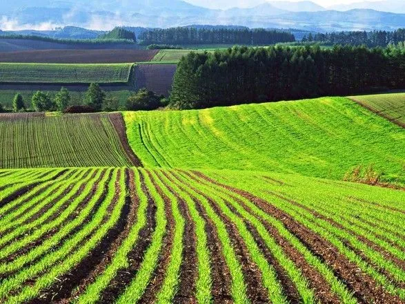 В Украине зарегистрировали уже 51% сельскохозяйственных госземель