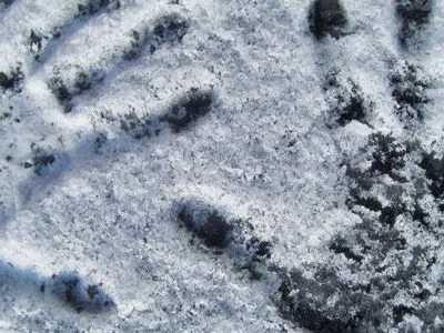 Во Львове выпал первый снег