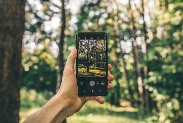 Ліс у смартфоні: Оржель розповів про майбутні функції електронного реєстру
