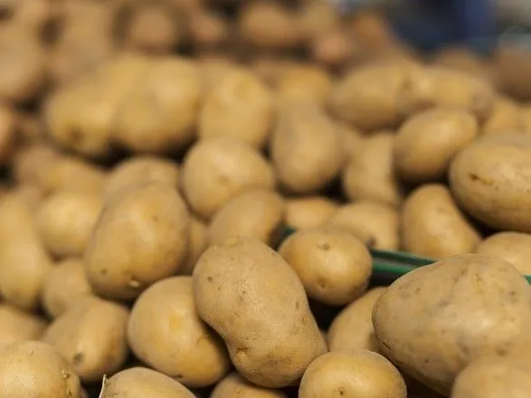 В Украину не пустили 20 тонн российского картофеля