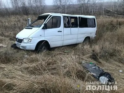 В Житомирской области перевернулся микроавтобус, пострадали восемь человек