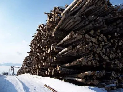 Дванадцять областей України внесені до Е-реєстру лісорубних квитків