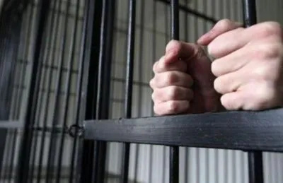 Гвалтівника малолітньої дівчинки засудили до 12 років ув'язнення