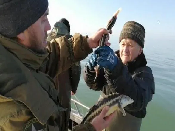 Пограничники изъяли браконьерськи сетки с краснокнижной рыбой на более 1,2 млн грн