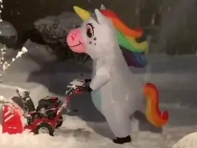 У США жінка прибирала сніг у костюмі єдинорога