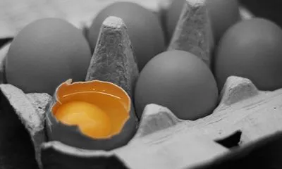 Яйцо для Порошенко: на нарушителя составили админпротокол