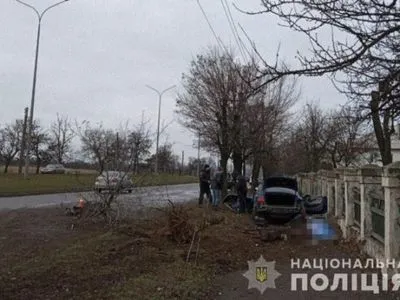 В Запорожской области легковушка въехала в линию электропередач: один человек погиб