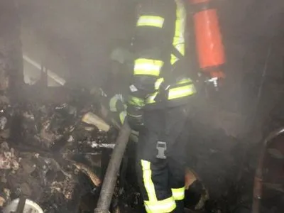 В Запорожье при пожаре погиб сын с матерью